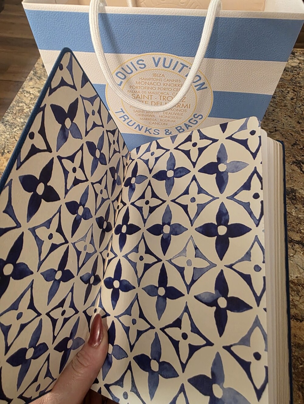Louis Vuitton By The Pool Clemance Notebook - Picture 7 of 7